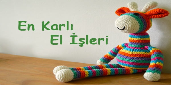 evde el işleri
