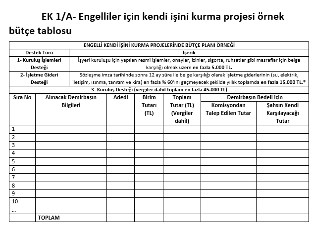 engelli bütçe tablosu